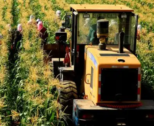 我国农作物种业市场规模去年首次突破1500亿元